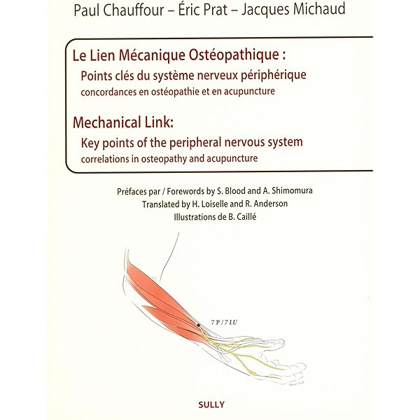 Le lien mécanique ostéopathique: Théorie et pratique